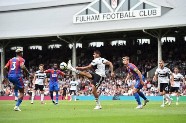 育培訓市場 育培訓市場